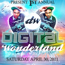 Digital Wonderland