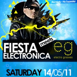 Electro Grooves